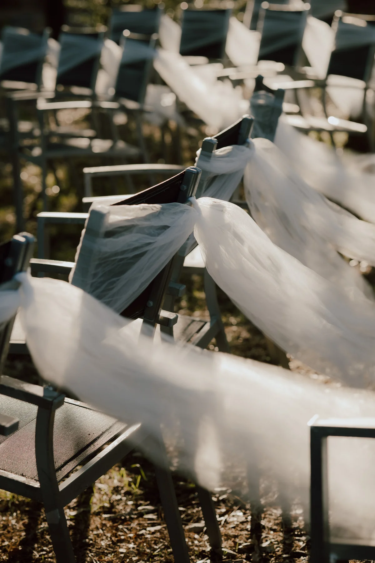 Filera de cadires del jardí vestides amb tul blanc